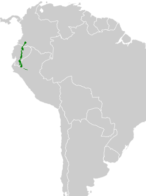 Campylopterus villaviscensio map.svg