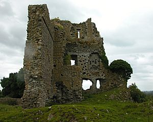 Carrick Castle, Kildare