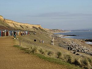 Cliffs and beach at Barton on Sea - geograph.org.uk - 111863