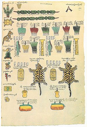 Codex Mendoza folio 47r