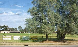 Fawkner reserve