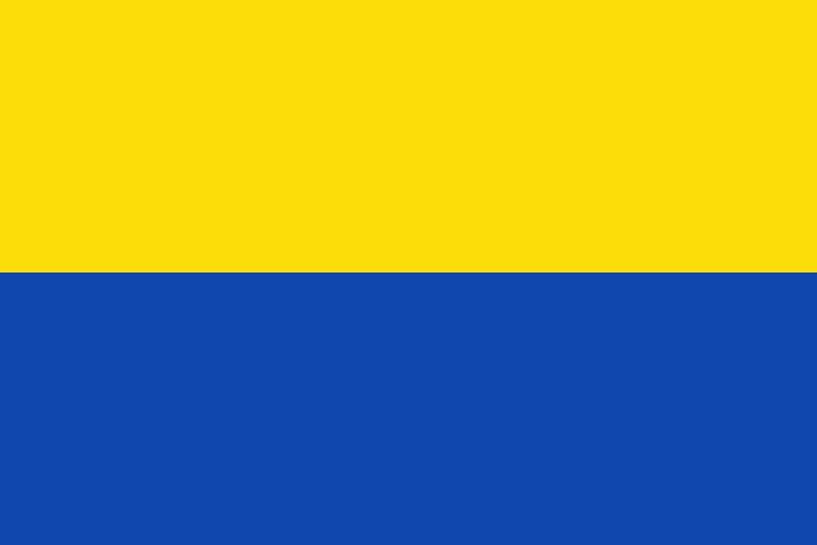 Flag of Saldaña (Tolima)