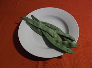 Flat beans raw