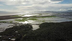 Flooded Pastures in Northeastern Novato
