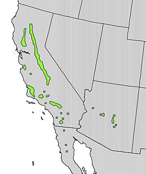 Fremontodendron californicum range map.jpg