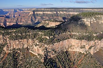 Grand Canyon DEIS Aerial Body of the Dragon (5476600115).jpg