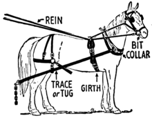 Horse harness Facts for Kids