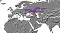 Indo-european - kurgan - 4000 BC - map