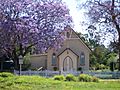 JacarandaWooroolinAustralia