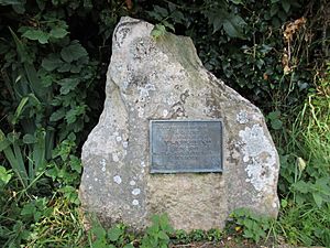John Ireland's grave