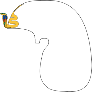 Khat headdress.svg