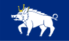 Kingswinford town flag.svg