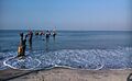 Kozhikkod Beach! Early Morning!