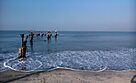 Kozhikkod Beach! Early Morning!.jpg