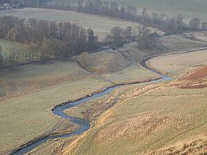 Lyne Water - geograph.org.uk - 634899