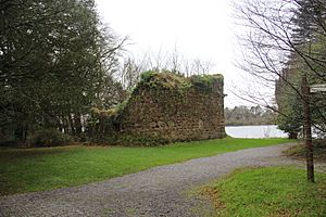 Mac Raghnaill Castle 3