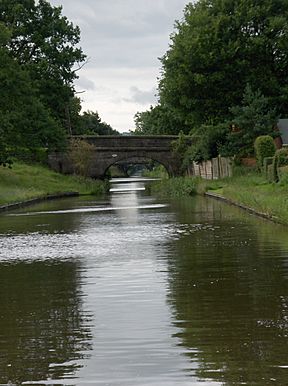 Macc canal near congleton.jpg