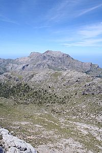 Rocky mountain landscape
