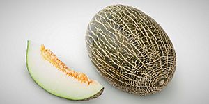 Melon piel de sapo español.jpg