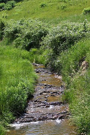 Middle Creek looking upstream