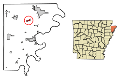 Location of Dell in Mississippi County, Arkansas.