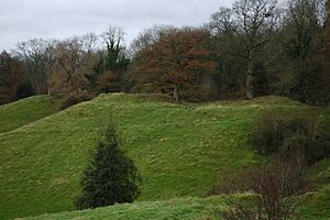 Motte and Bailey, Bacton - geograph.org.uk - 624704