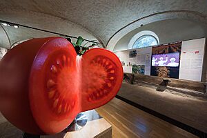 Museo del Pomodoro - Collecchio (PR) - Interno
