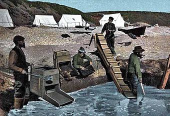 Nome prospectors,1900.jpg