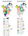 North American gray wolf subspecies distribution according to Goldman (1944) & MSW3 (2005)