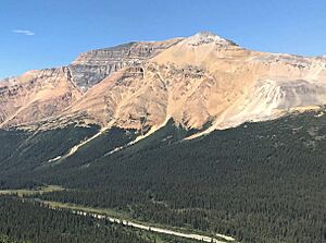 Observation Peak, Banff Park