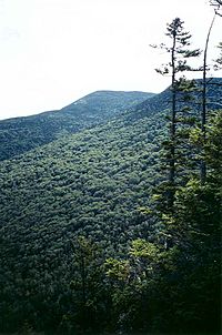Old Speck Mt Maine from Eyebrow Trail.jpg