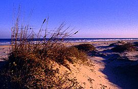 Padre Island National Seashore - sand dunes