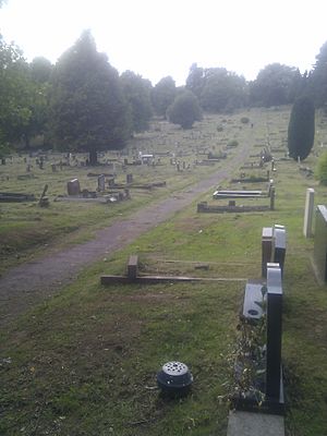Pathway in St Woolos Cemetery.jpg