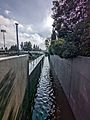 Permanente Creek at McKelvey Park