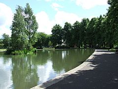 Pond in Robertson Park - geograph.org.uk - 859968.jpg