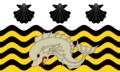 Poole town flag