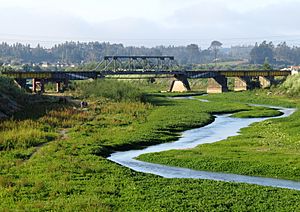 Puente Ferroviario sobre el río Andalién