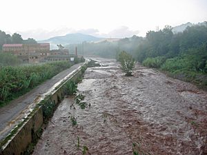 Río Ripoll Lluvia torrencial01