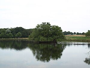 Richmond Park Pen Ponds