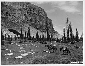 Riding in Lewis and Clark National Forest