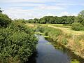 River Adur below Wineham