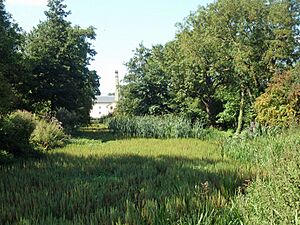 River Ivel upstream of Stotfold Mill - geograph.org.uk - 7795652