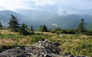 Round Bald Vista