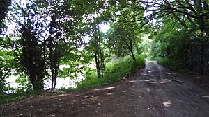 Ruxley Gravel Pits.JPG