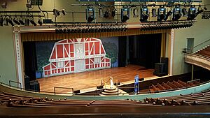 Ryman stage