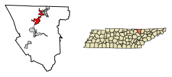 Location of Oneida in Scott County, Tennessee.