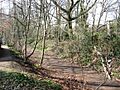 Sherrardspark Wood - Entrance from Campus West Car Park - geograph.org.uk - 1211226