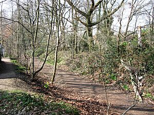 Sherrardspark Wood - Entrance from Campus West Car Park - geograph.org.uk - 1211226