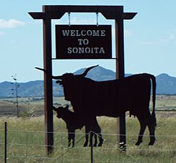 Welcome to Sonoita