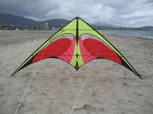 Steve Hobart Sport Kite